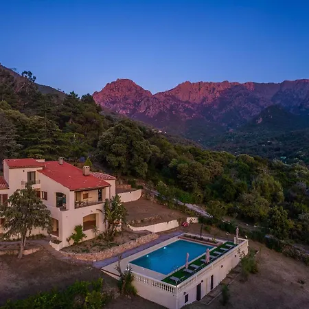 Excelsior Villa *